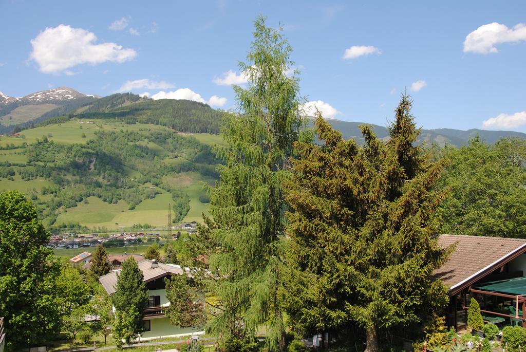 Ferienhaus Niedernsill Chalet Niedernsill
